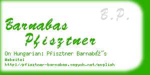 barnabas pfisztner business card